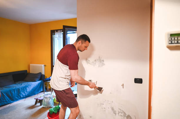 Reliable Weed, CA Mold Remediation Solutions